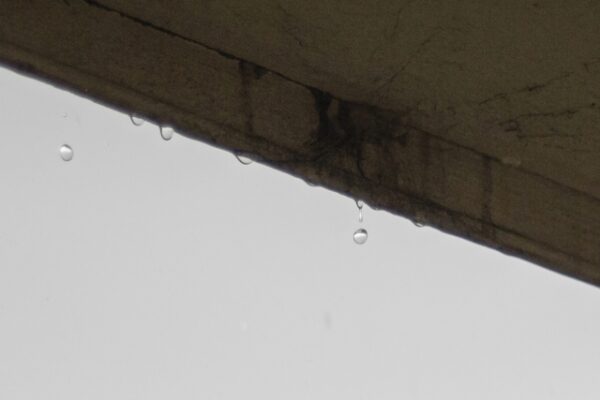 梅雨時期は「雨漏り」のお問い合わせが増えますサムネイル