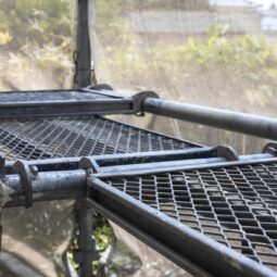 梅雨が明けたら室内壁にカビ… 外壁塗装で対策をサムネイル
