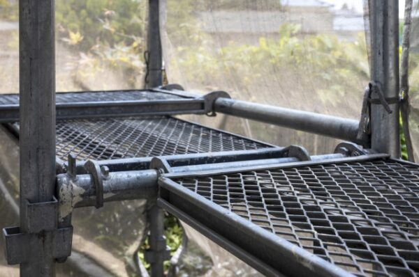 梅雨が明けたら室内壁にカビ… 外壁塗装で対策をサムネイル